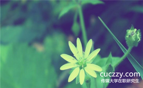 中國傳媒大學(xué)在職研究生能跨專業(yè)報(bào)考嗎