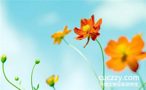 中國傳媒大學(xué)在職研究生可以用來考公務(wù)員嗎
