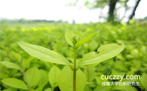 中國傳媒大學(xué)免試入學(xué)在職研究值得讀嗎
