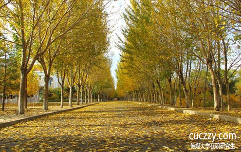 傳媒大學(xué)在職研究生在職研究生學(xué)費(fèi)高不高?