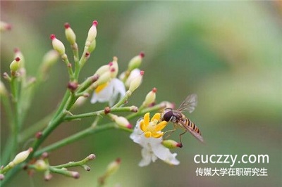 想?yún)⒓又袊鴤髅酱髮W(xué)在職研究生學(xué)習(xí)門檻高嗎? 想?yún)⒓又袊鴤髅酱髮W(xué)在職研究生學(xué)習(xí)門檻高嗎?