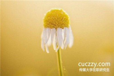 參加中國傳媒大學(xué)在職研究生最后一定能拿到證書嗎? 參加中國傳媒大學(xué)在職研究生最后一定能拿到證書嗎?