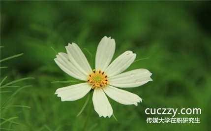 中國傳媒大學(xué)在職研究生考試成績(jī)可以保留嗎? 中國傳媒大學(xué)在職研究生考試成績(jī)可以保留嗎?